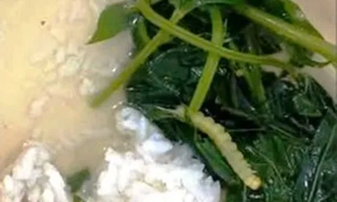 Vụ “canh rau có sâu” xôn xao ở Huế: Cơ quan chức năng lên tiếng