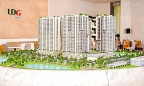 Một Thành viên HĐQT LDG xin từ nhiệm
