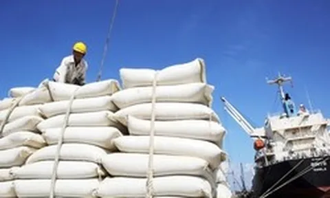 Láng giềng 'ôm' kho gạo 5 triệu tấn, một nước Đông Nam Á vẫn tăng mạnh mua gạo Việt