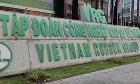 GVR không bị hủy tư cách công ty đại chúng dù chưa đạt chuẩn