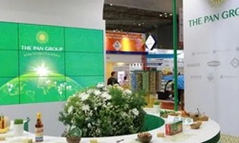 Một tổ chức liên quan đến Chứng khoán SSI trở thành cổ đông lớn PAN Group
