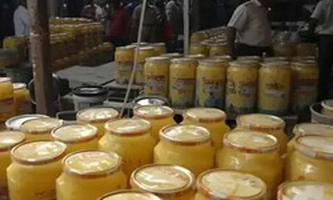 Đột kích lúc nửa đêm, công an triệt phá đường dây sản xuất bơ và dầu ăn giả, tịch thu hơn 14 tấn sản phẩm pha trộn