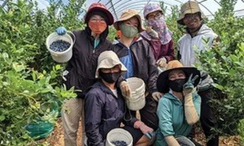 Tin vui cho lao động Việt Nam làm việc tại Úc