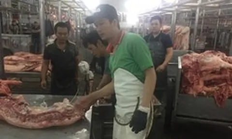 Giá heo hơi hôm nay, 27-6: Điều chỉnh ở chợ đầu mối