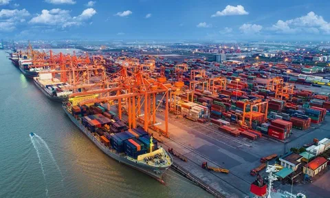 Giá thuê căn hộ chuyên gia tại CBD đô thị cảng: Lực hút bền vững từ hạ tầng và dòng vốn quốc tế
