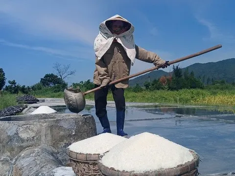 Diêm dân miệt mài giữa nắng đỉnh điểm, thu nhập vỏn vẹn 200.000 đồng mỗi ngày