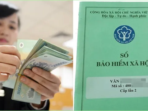 Làm 2-3 công ty cùng lúc, đóng BHXH ra sao để không bị thiệt?