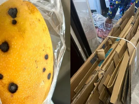 6 lối tiết kiệm mù quáng: Dẫn lối ung thư, đào hố chôn mình