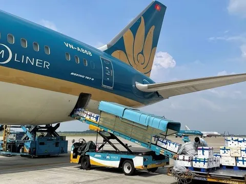 Doanh nghiệp hàng không siêu lợi nhuận báo lãi kỷ lục, tiền mặt chiếm 2/3 tổng tài sản