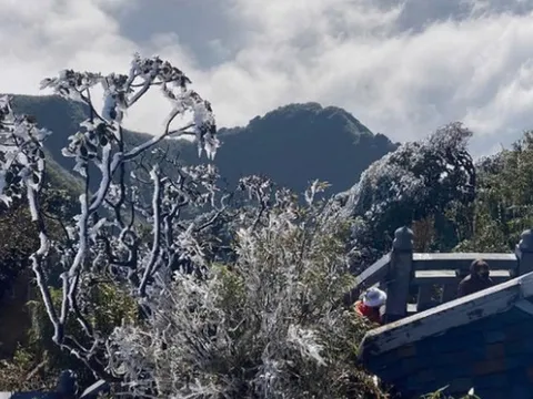 Không khí lạnh vẫn bao trùm miền Bắc, sương mù dày đặc, nơi rét nhất dưới 9 độ C