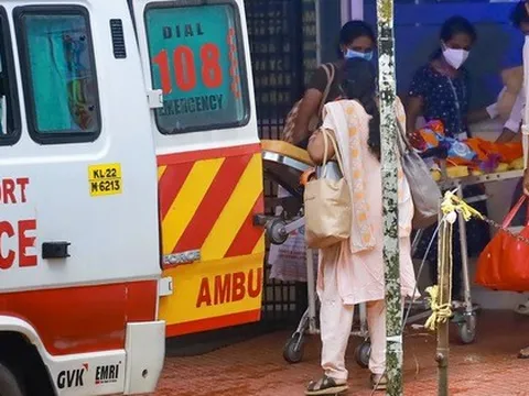 WHO, CDC nói về virus Nipah: Ai có nguy cơ, nguy hiểm đến đâu?