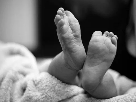 Xác minh vụ thi thể trẻ sơ sinh trong sọt rác tại khu công nghiệp Vĩnh Long