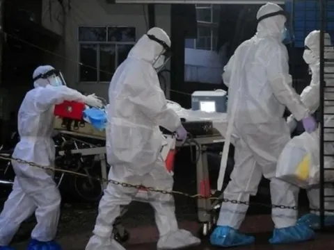 Virus Nipah nhóm A gây tử vong tới 75%, Bộ Y tế ra văn bản hỏa tốc