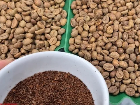 Giá cà phê hôm nay 28-1: Tăng nóng