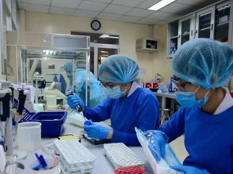 TPHCM lấy mẫu tầm soát virus Nipah trên bệnh nhân viêm não