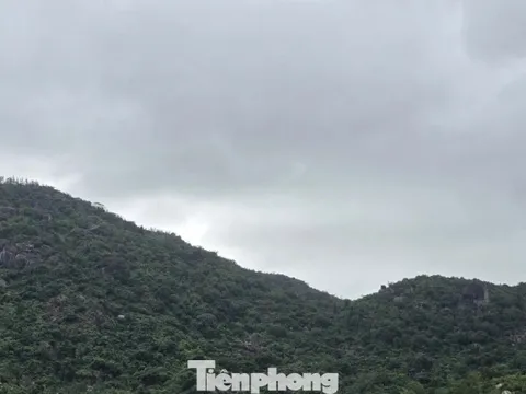 Sức khoẻ của phi công trong vụ rơi máy bay quân sự ở vùng núi Đắk Lắk