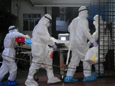 Ấn Độ thông báo ổ dịch virus Nipah đã được kiểm soát