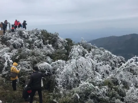 Dự báo thời tiết 1/2: Không khí lạnh dồn dập tràn về miền Bắc, trời rét đậm, rét hại