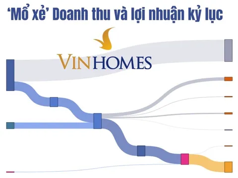 ‘Mổ xẻ’ cú đột biến tại ‘gà đẻ trứng vàng’ của tỷ phú Phạm Nhật Vượng