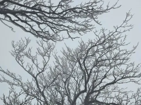 Miền Bắc liên tiếp đón không khí lạnh cường độ mạnh, trời rét đậm