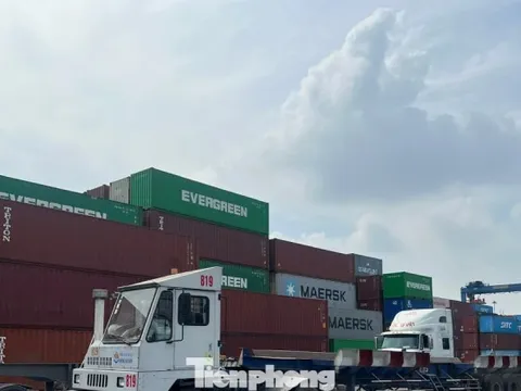1.200 container hàng hóa ùn ứ tại cảng Cát Lái