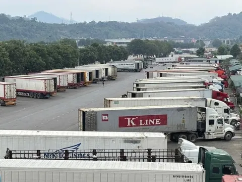 Kết luận mới nhất của lãnh đạo Chính phủ về Nghị định 46