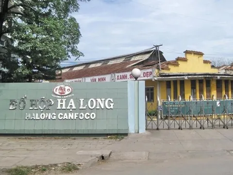 Lợi nhuận của Công ty Đồ hộp Hạ Long âm sau sự cố thịt heo bệnh