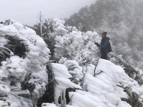 Tin gió mùa Đông Bắc mới nhất: Miền Bắc sắp đón đợt rét đậm dưới 3 độ C, nguy cơ xảy ra băng giá