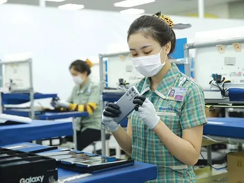 Hàng Việt tăng tốc vào thị trường Mỹ