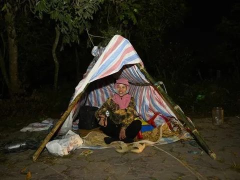 "Ăn sương, nằm gió" trên hè phố canh hoa Tết, tiểu thương kỳ vọng dịp đắt hàng nhất năm