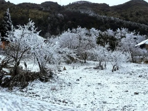 Không khí lạnh cường độ cực mạnh tràn về, miền Bắc "rét buốt thấu xương"