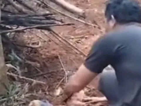 Xác định được người mẹ bỏ rơi con sơ sinh trong rẫy vắng