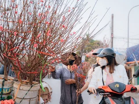 Tin gió mùa Đông Bắc mới nhất: Miền Bắc đón đợt không khí lạnh mạnh tràn về, trời trở rét