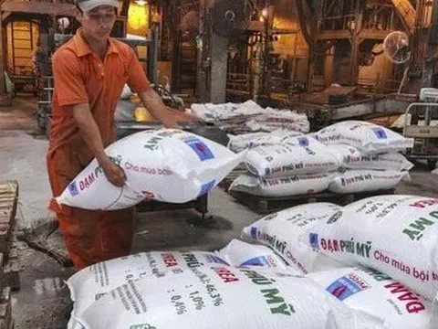 Các doanh nghiệp ngành phân bón, hóa chất làm ăn ra sao trong năm 2025