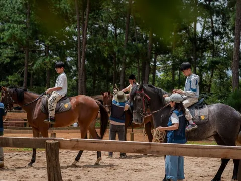 Cưỡi ngựa xuyên rừng già - Trải nghiệm hút khách ở Măng Đen dịp Tết