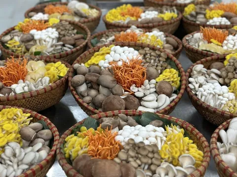 Không chỉ có 'Đệ nhất danh trà', Thái Nguyên còn có 'sản vật thơm' đang chinh phục cả Mỹ và Nhật