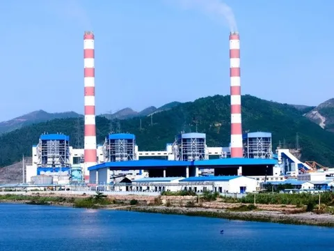 Nhiệt điện Quảng Ninh: Không chỉ phó tổng bị bắt, chủ tịch và CEO từng 'dính chàm'