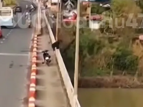 CLIP: Camera ghi lại cảnh nam thanh niên nhảy sông mất tích