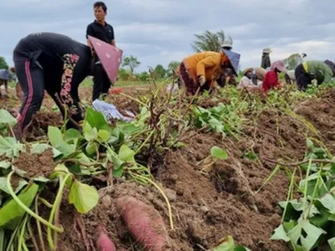 Việt Nam vừa đón một tin vui lịch sử từ Nhật Bản
