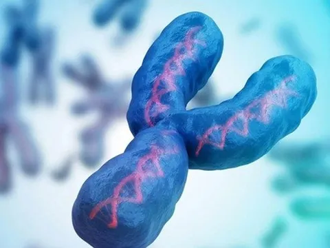 Nam giới đang mất dần nhiễm sắc thể Y