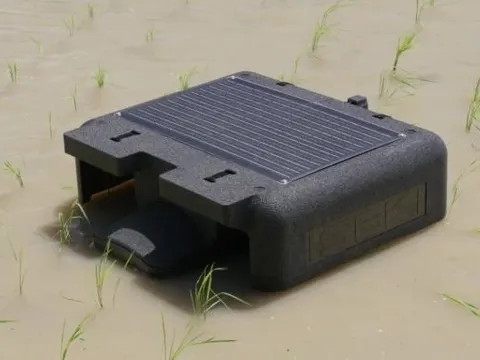 VN làm thành công dự án đầu tiên trên TG trong lĩnh vực nuôi sống một nửa nhân loại: Vừa áp dụng robot AI