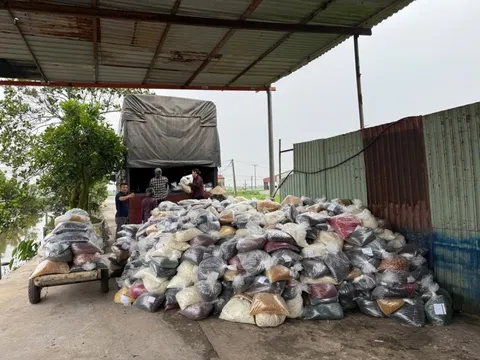 Vụ án 100 tấn thực phẩm chức năng giả: Cán bộ hải quan nhận hối lộ 1,5 tỷ đồng