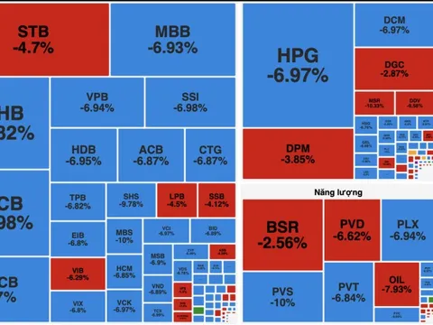 VN-Index giảm hơn 115 điểm, lập kỷ lục giảm sâu trong một phiên