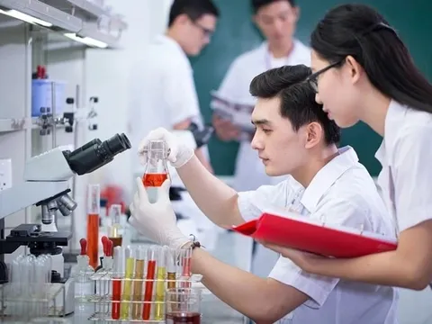 Hà Nội triển khai chính sách thu hút người tài, hỗ trợ đến 1.000 lần mức lương cơ sở