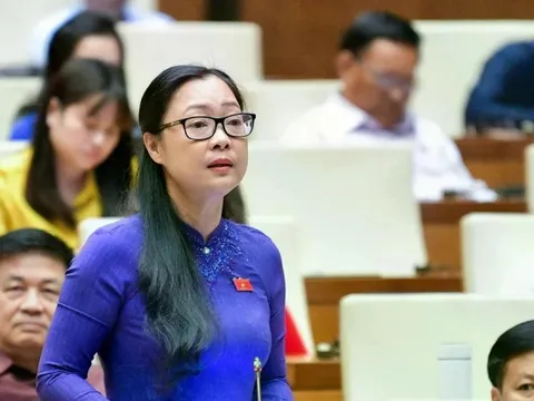 Thủ tướng bổ nhiệm Thứ trưởng Bộ Giáo dục và Đào tạo