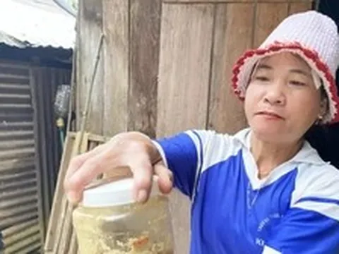 Hé lộ nguyên nhân món cá ủ chua khiến 3 trẻ ở Đà Nẵng nguy kịch phải nhờ sự trợ giúp từ WHO