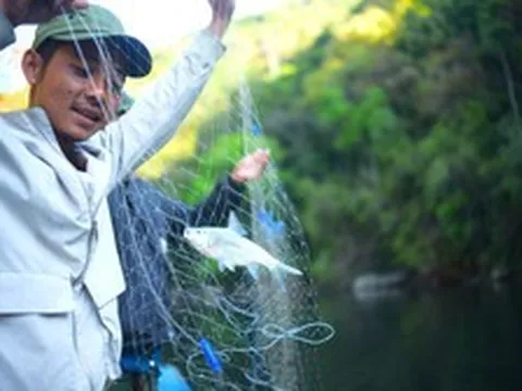 Ngược dòng sông Krông Nô săn loài cá quý hiếm ở Lâm Đồng cùng bà con K'Ho