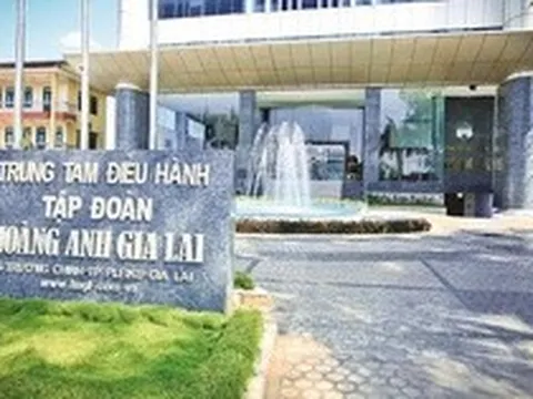 HAGL bổ nhiệm Phó Tổng Giám đốc