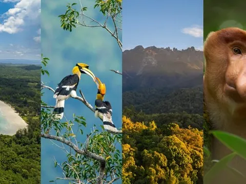 Club Med Borneo chính thức mở đặt chỗ cho điểm đến nghỉ dưỡng rực rỡ nắng vàng tại Kota Kinabalu, Malaysia