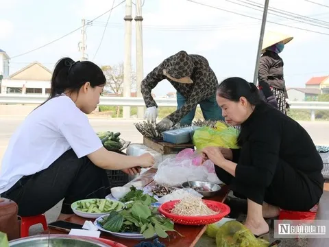 Loài cá "nhà nghèo" hút khách, viral trên mạng xã hội